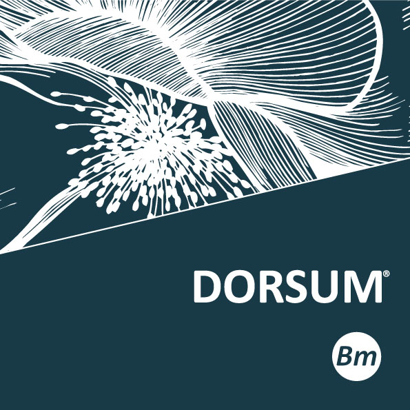 Dorsum Bm Folder