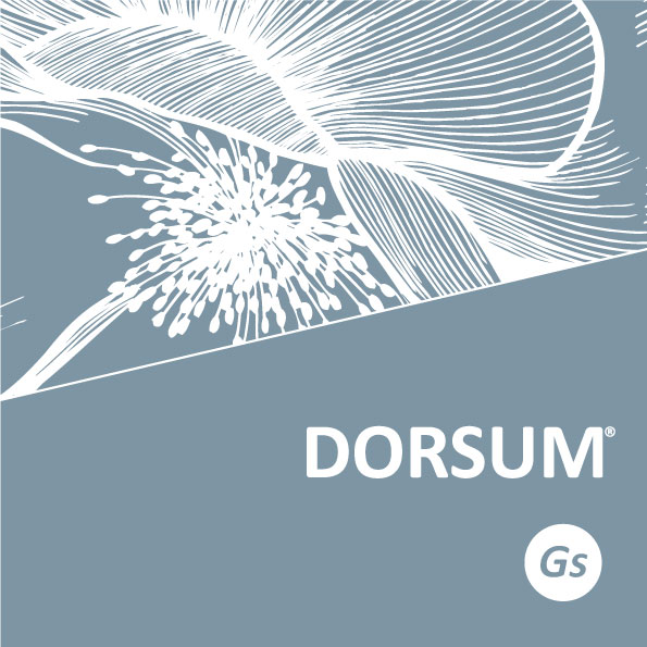 Dorsum Gs Folder