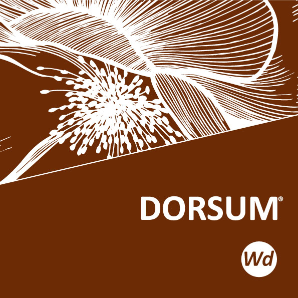 Dorsum Wd Folder